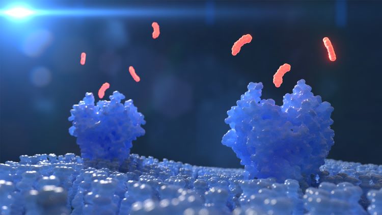 revumenib - novel small molecule drug facilitates leukaemia remission