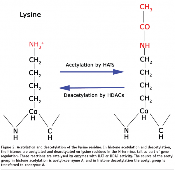 reynolds - figure 2