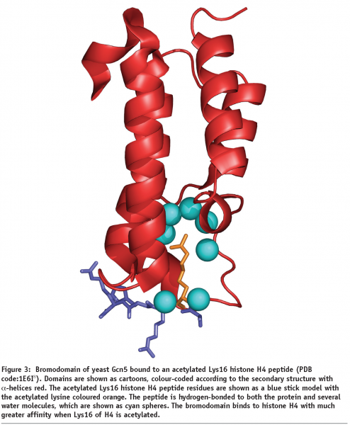 reynolds - figure 3