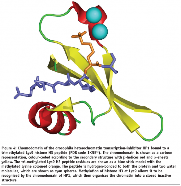 reynolds - figure 4