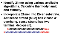 Figure 2: Modeling Dicer substrates for effective generation of siRNAs from asymmetric 25/27mer Dicer substrates. The siRNA that will be generated from this Dicer substrate is indicated in bold. Dicer enters from 2 base 3’ overhang and cleaves as indicated. The blunt end of this substrate incorporates two deoxyribonucleotides at the 3’ end of the sense strand to promote Dicer entry from the two base 3’ overhang.