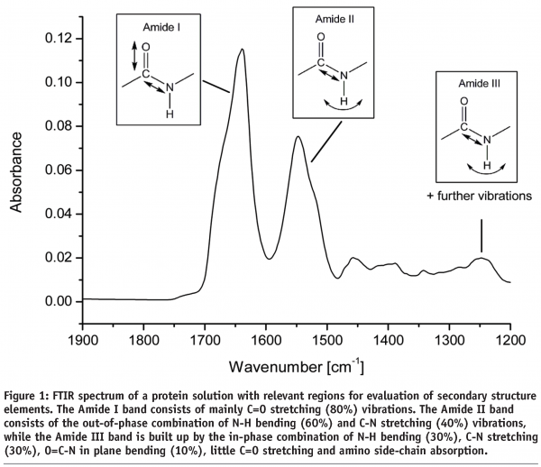 schiffter - figure 1