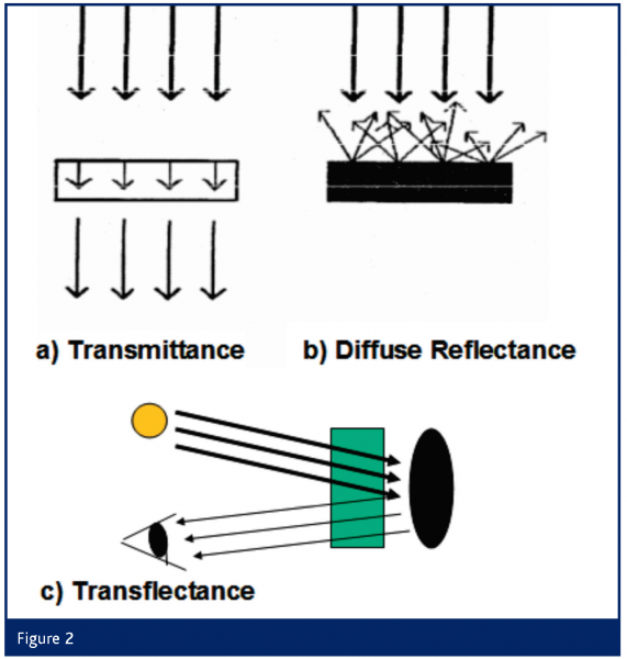 scholz figure 2