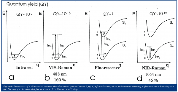 schrader figure 1