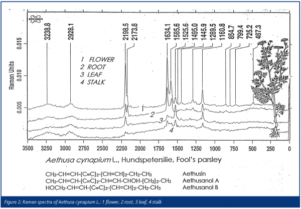 schrader figure 2