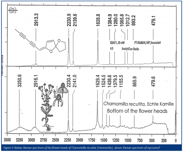 schrader figure 3