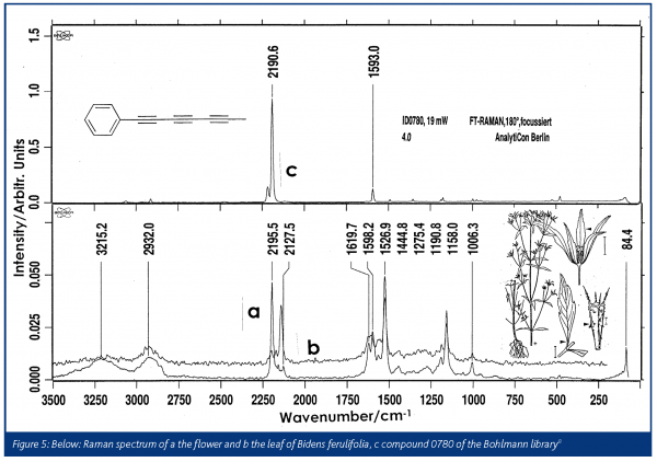 schrader figure 5