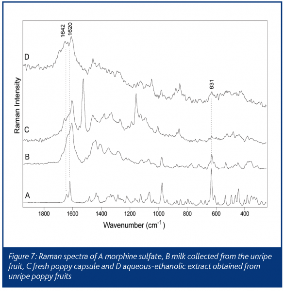 schrader figure 7