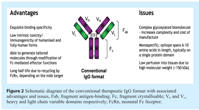 Scott - Figure 2