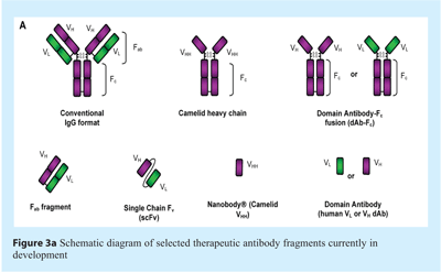 Scott - Figure 3a