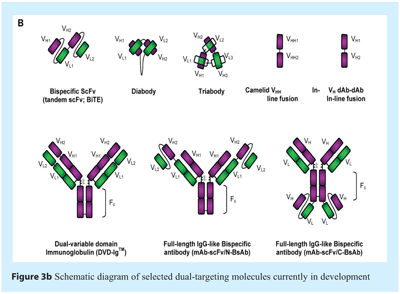 Scott - Figure 3b