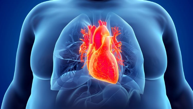 Semaglutide demonstrates cardiovascular benefit