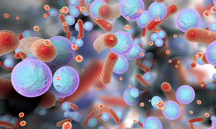 Microbiological sequencing article image