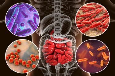 Microbiome innovation: have we forgotten the basics? 