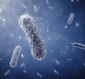 PCR Viability