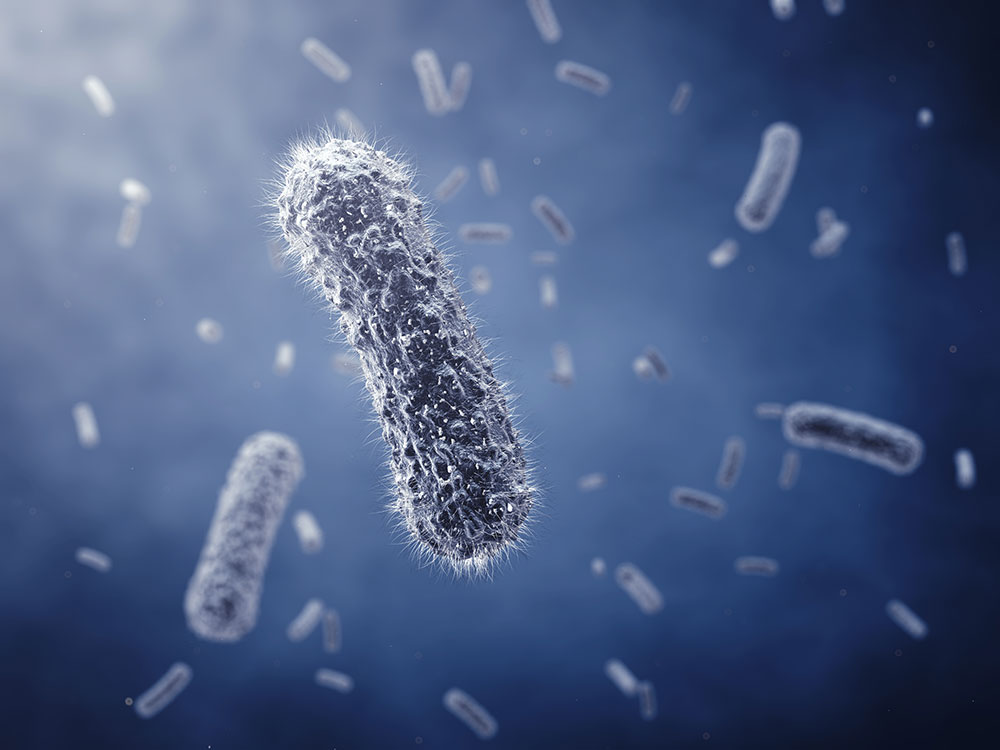 PCR Viability