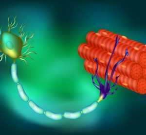 Lenmeldy gene therapy