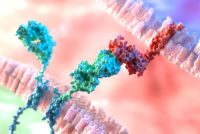 How breakthrough CAR-T cancer therapies could be made more widely accessible