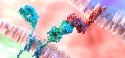 How breakthrough CAR-T cancer therapies could be made more widely accessible