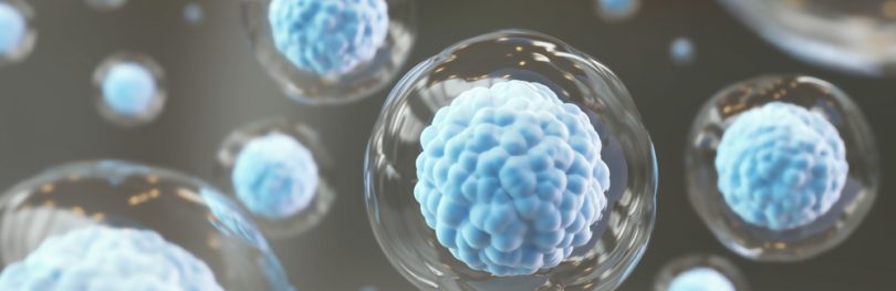 Blue stem cells