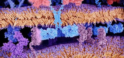 Eli Lilly Orna Therapeutics