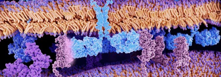 Eli Lilly Orna Therapeutics