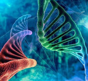 Multi-coloured DNA molecules