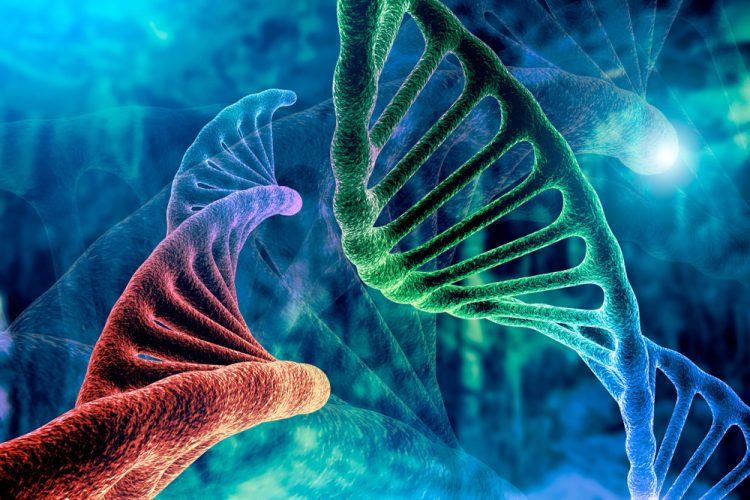 Multi-coloured DNA molecules