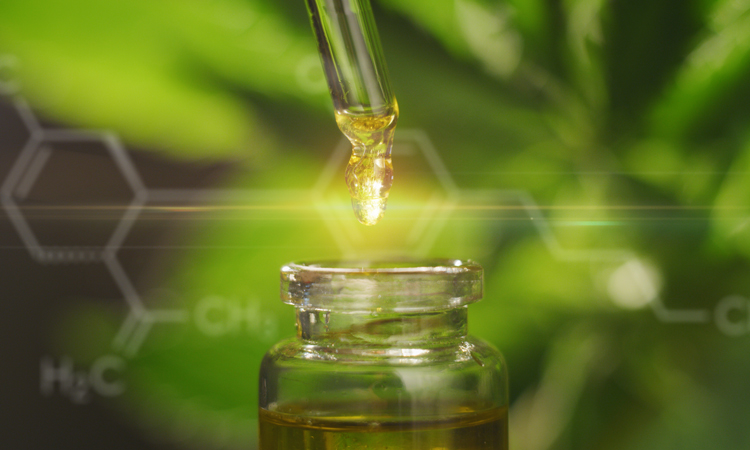 Cannabis oil