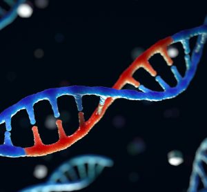 Edited RNA molecule