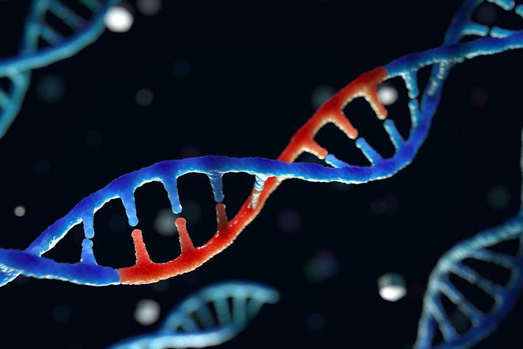 Edited RNA molecule