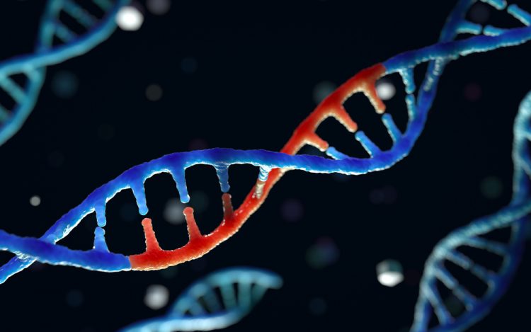 Edited RNA molecule