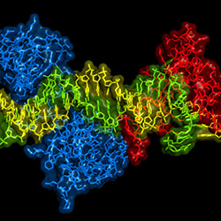 Pharma Webinar: Detection, quantification and visualisation of protein interactions for hit profiling by high content screening