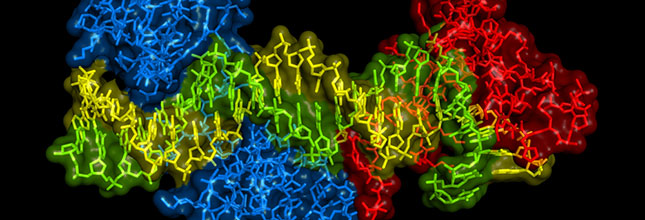 Pharma Webinar: Detection, quantification and visualisation of protein interactions for hit profiling by high content screening 