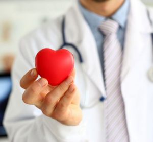 Doctor holding red heart - idea of cardiovascular disease