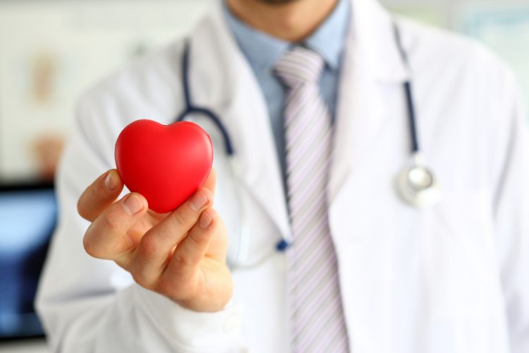 Doctor holding red heart - idea of cardiovascular disease