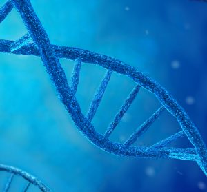 DNA molecule