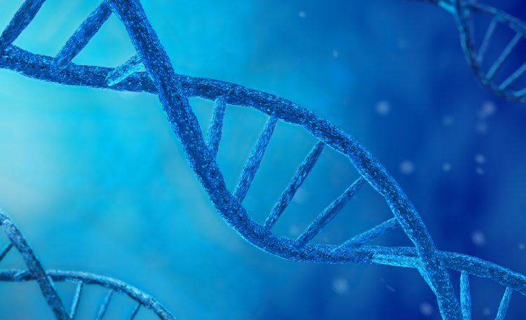 DNA molecule