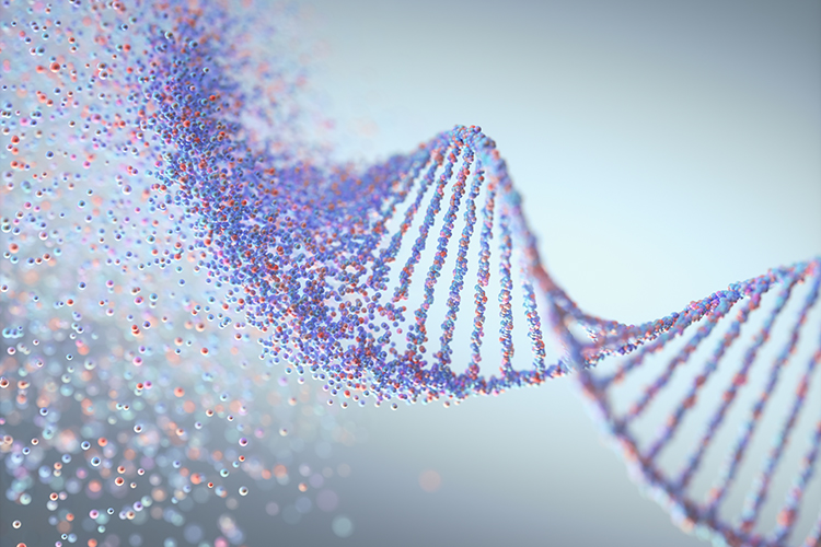 Simplifying oligonucleotide characterisation with Microchip CE-MS