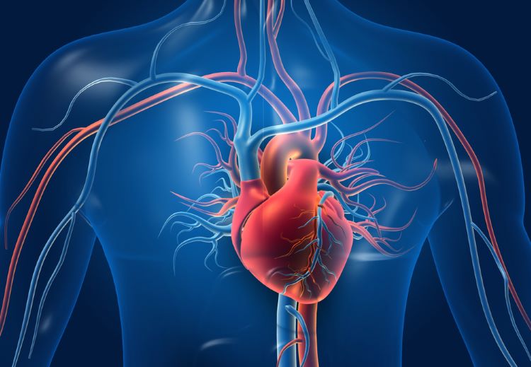 cell therapy heart failure