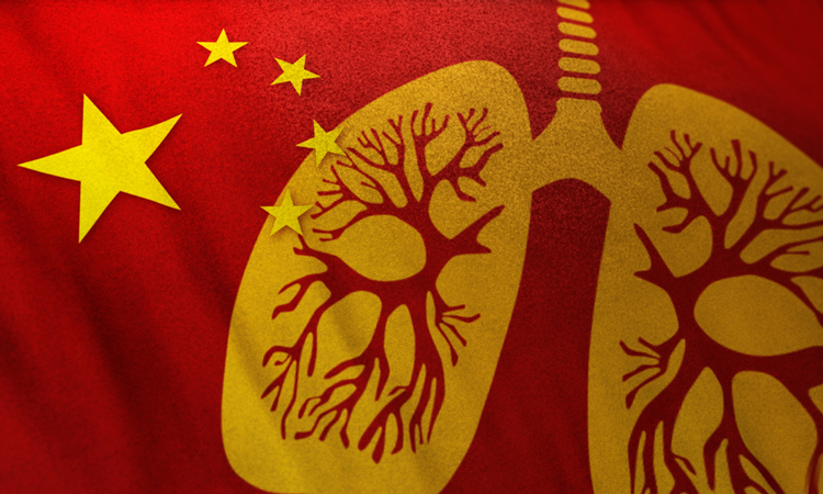 Chinese flag with lungs