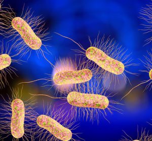 Endotoxins image