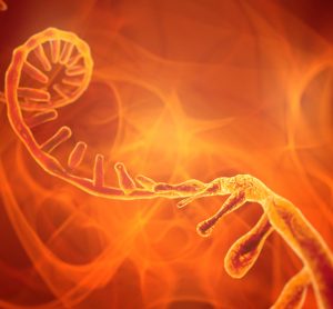 Glowing RNA molecule