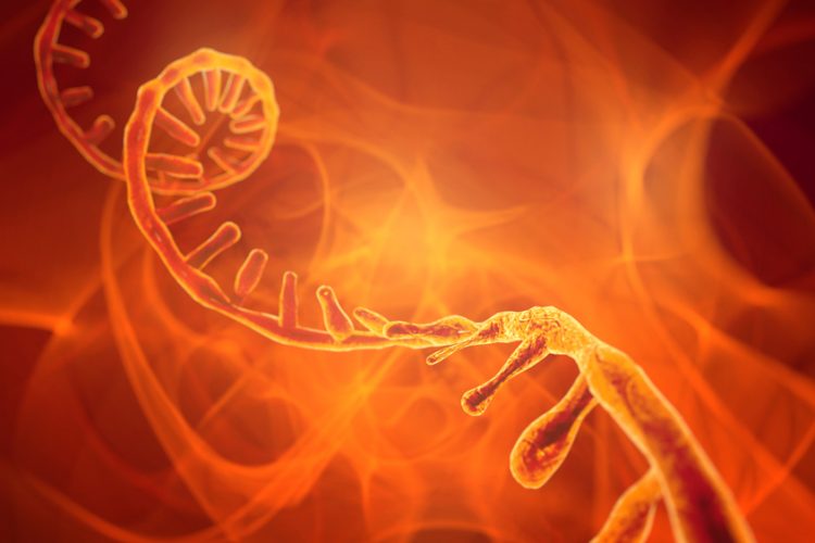 Glowing RNA molecule