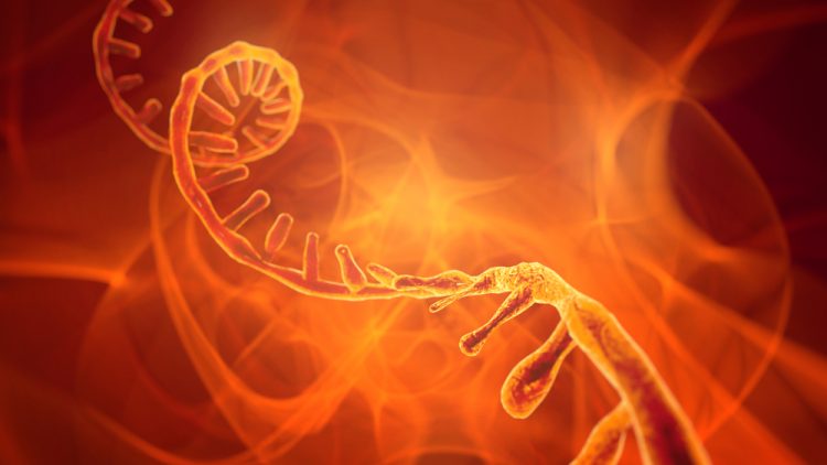 Glowing RNA molecule