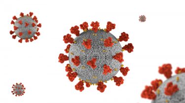 Coronavirus particles