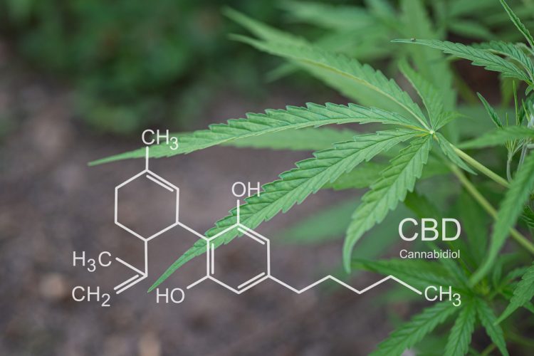 Epidyolex (cannabidiol)