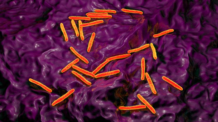 mycobacterial testing biological products