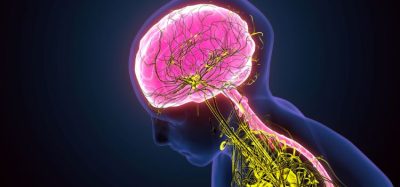 NX-5948 BTK degrader