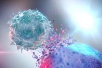 iPSC-NK cells manufacturing